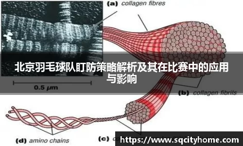 星空·综合体育中国官网