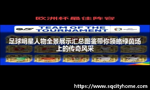足球明星人物全景展示汇总图鉴带你领略绿茵场上的传奇风采